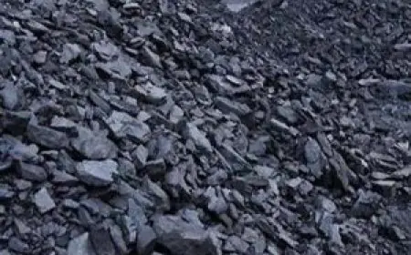 Dhanbad Coal: कोयले का काला जाल टूटा! धनबाद में CISF की ऐतिहासिक छापेमारी, 2 दिनों में 190 टन अवैध कोयला जब्त, 3 लाख से ज्यादा की कीमत, कोयला चोरों में हड़कंप, धनबाद पुलिस पर उठे सवाल, क्या पुलिस की नाकेबंदी के नीचे से हो रहा था हजारों टन कोयले का अवैध धंधा?