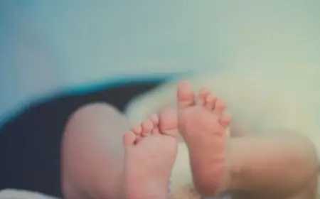 Goilkera Rescue: पश्चिमी सिंहभूम में कलयुगी मां ने बरगद के नीचे झाड़ियों में फेंका नवजात, रात भर ठंड में भी बच्चा रहा स्वस्थ