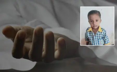 Hazaribagh Homicide: बच्चा नहीं मिला, तो कार के बोनट में फंसी मिली लाश! इचाक के जलौंध गांव में साढ़े तीन वर्षीय अनुभव की दर्दनाक मौत