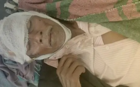 Palamu Attack:  बूढ़े को ओझा गुणी बताकर काटने आए गोतिया परिवार के 3 लोग! आखिर झारखंड में क्यों नहीं रुक रहा डायन-बिसाही के नाम पर खून?