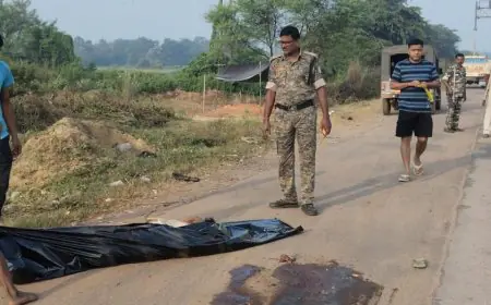 Baharagora Accident : बस ने कुचला महिला को, पीछे से टकराया कंटेनर! NH-49 बना 'मौत का चौराहा' – ड्राइवर ने खोया संतुलन, यात्रियों की बची जान