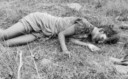 Kandra Shock: कांड्रा के जंगल में पत्थर से कुचली नाबालिग, सुबह शौच गई लड़की का शव मिला, हाई टेंशन तार के नीचे मौत का रहस्य