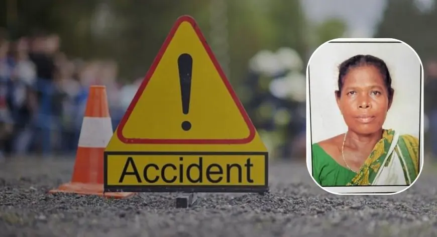 Chakulia Accident : बकरी चरा रही बुजुर्ग महिला को तेज रफ्तार बाइक ने रौंदा! टक्कर मारकर 'फरार' हुआ अनजान सवार