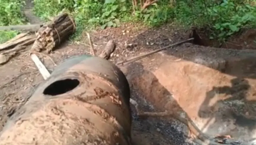 Jamshedpur Blitz: बोड़ाम में अवैध शराब की 3 भट्टियां ध्वस्त! डांगर नाला क्षेत्र में उत्पाद विभाग की बड़ी कार्रवाई, 1200 KG जावा महुआ नष्ट