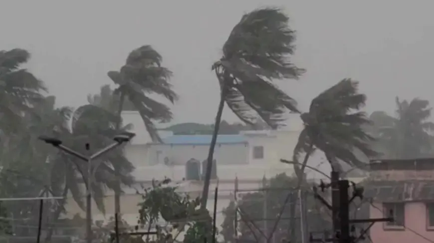 Jharkhand Weather : मौसम ने ली करवट! साइक्लोनिक सर्कुलेशन से झारखंड में अगले 48 घंटे तक तेज बारिश का येलो अलर्ट, रांची में 24.3 मिमी वर्षा दर्ज