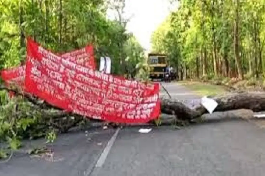 Saranda Naxal : सारंडा में नक्सलियों ने काटा शाल का पेड़, कोलभंगा शिव मंदिर के पास रास्ता किया जाम, 'ऑपरेशन कगार' के समर्थन में किया बंद, बाजार, स्कूल और खदान सब ठप, पोस्टर में पुलिस पर लगाए गंभीर आरोप, क्या पुलिस पर कार्यकर्ताओं को गायब करने के आरोप से बढ़ेगा टेंशन?
