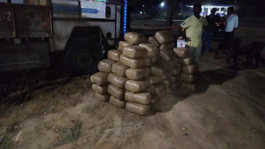 Simdega Strike: नारकोटिक्स का अब तक का सबसे बड़ा शिकंजा! सिमडेगा NH-143 पर NCB ने 420 किलो गांजा के साथ तस्कर को दबोचा, ट्रॉली के केबिन में बहाँ गुप्त बॉक्स में छिपाया गया था जखीरा