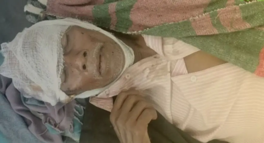 Palamu Attack:  बूढ़े को ओझा गुणी बताकर काटने आए गोतिया परिवार के 3 लोग! आखिर झारखंड में क्यों नहीं रुक रहा डायन-बिसाही के नाम पर खून?