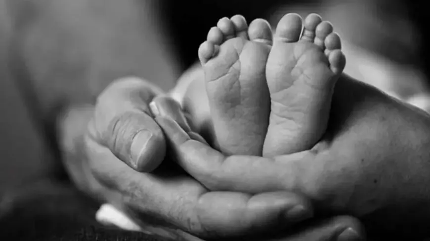 Medininagar Newborn Head Found : मेदिनीनगर में नवजात का कटा सिर मिला, धड़ लापता, श्मशान के पास मिली लाश के पीछे कौन सा काला राज