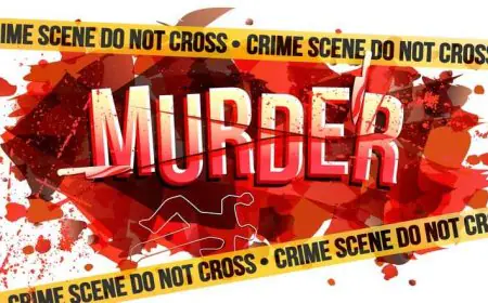 Chakradharpur Mystery: चक्रधरपुर में प्रेग्नेंट महिला की संदिग्ध हत्या, 10 दिन बाद मिला शव, पति तमिलनाडु क्यों भागा