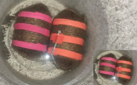 Dhanbad Bombs Recovered : झरिया के उर्दू स्कूल के पास बंद घर से 4 जिंदा बम बरामद, धनबाद में बड़ी साजिश का खुलासा, एक युवक गिरफ्तार