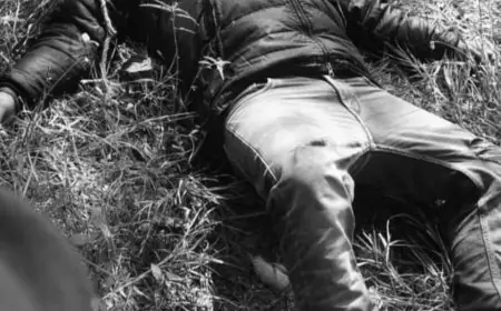 Chaibasa Mystery: चाईबासा में पेड़ से लटका मिला युवक का शव, पास से मिली टूटी रस्सी ने खोला मौत का सबसे बड़ा राज, आत्महत्या या हत्या