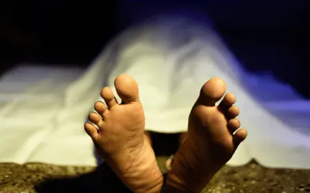 Chaibasa Murder: चाईबासा में अवैध बालू खनन का विरोध करने पर दीपक प्रधान की ट्रैक्टर से कुचलकर हत्या, इलाके में आक्रोश क्यों भड़का