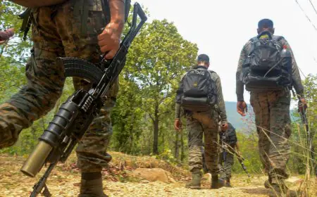 Saranda Encounter: सारंडा के जंगलों में कोबरा जवानों ने नक्सलियों को क्यों ढेर किया, एक घंटे तक चली मुठभेड़ में अनल दस्ता को कितना नुकसान हुआ