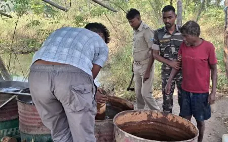 Gamharia Raid: गम्हरिया के उकाम गांव में उत्पाद विभाग ने 400 किलो जावा महुआ को नष्ट किया, अवैध शराब भट्ठी का पर्दाफाश हुआ