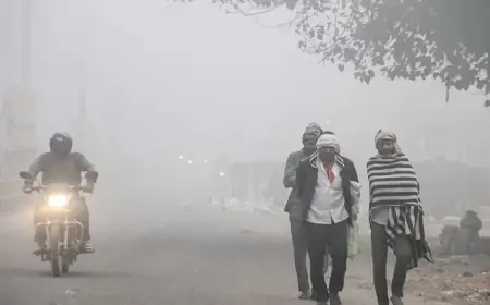 Jharkhand Weather : झारखंड में ठंड का बड़ा हमला, इन 11 जिलों को मौसम विभाग ने यह बड़ी चेतावनी दी