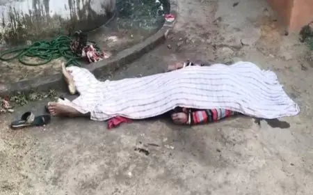 Saraikela Suicide: सरायकेला के पदमपुर में दर्दनाक हादसा, 4 साल से लिव-इन में रह रही महिला ने कुएं में कूदकर जान दी, झामुमो नेता ने बताया संदिग्ध