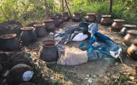 Hat Gamharia Raid: हाट गम्हरिया के जंगल में उत्पाद विभाग का बड़ा एक्शन, 1000 किलो जावा महुआ नष्ट, 3 लोगों पर FIR