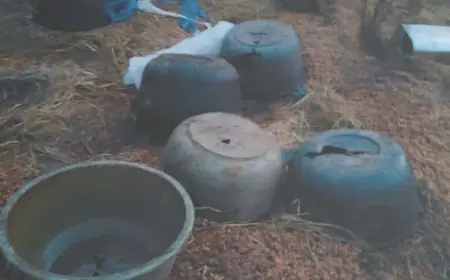 Chaibasa Raid: उत्पाद विभाग का बड़ा एक्शन, 1000 किलो जावा महुआ नष्ट, 2 गिरफ्तार, 3 फरार