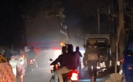 Chaibasa Action: चाईबासा में पुलिस का बड़ा एक्शन, जंगल से 2 सोलह चक्का हाइवा जब्त, ओडिशा के चालान पर जांच