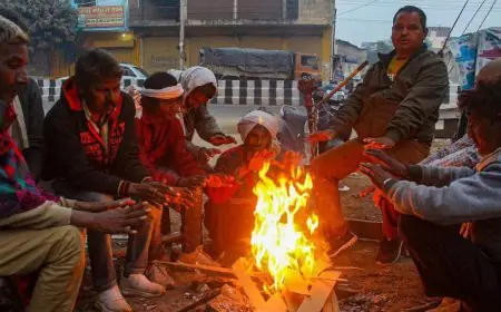 Jharkhand Weather: झारखंड में तापमान में बड़ा सुधार, ठंड से राहत, IMD ने जारी किया 15 दिन का पूर्वानुमान