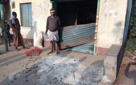 Chakulia Elephant Terror: जंगली हाथी ने मचाया उत्पात, दुकान का शटर तोड़कर 50 हजार का नुकसान, 8 बोरी मुड़ी-आलू को रौंदा, रात 3 बजे से दहशत!