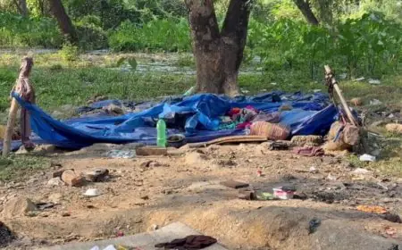 Chakradharpur Cold Death: प्लास्टिक के नीचे सोए गरीब दंपत्ति की ठंड से मौत, पत्नी के बाद पति ने भी तोड़ा दम, क्यों नहीं जले अलाव?