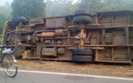 West Singhbhum Bus Crash: राम बलराम बस अनियंत्रित होकर पलटी, 3 महिलाएं गंभीर घायल, ड्राइवर था नशे में धुत्त, सड़क पर दौड़ रही थी फेल बस?