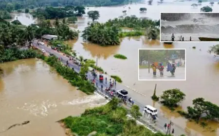 Cyclone Ditwah Alert: श्रीलंका में 123 मौतों के बाद 'दितवाह' का भारत की ओर रुख, 300 भारतीय यात्री कोलंबो में फंसे, IMD का चेतावनी भरा अलर्ट क्या कहता है?