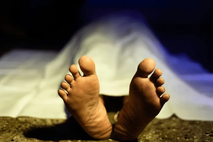 Chaibasa Murder: चाईबासा में अवैध बालू खनन का विरोध करने पर दीपक प्रधान की ट्रैक्टर से कुचलकर हत्या, इलाके में आक्रोश क्यों भड़का