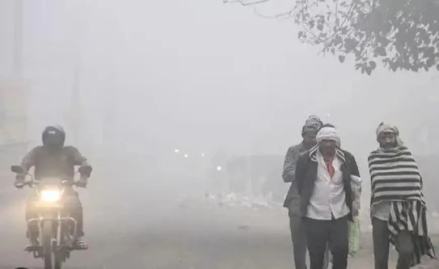 Jharkhand Weather : रांची समेत झारखंड में ठंड का रेड अलर्ट, शनिवार से पारा तेजी से क्यों लुढ़केगा