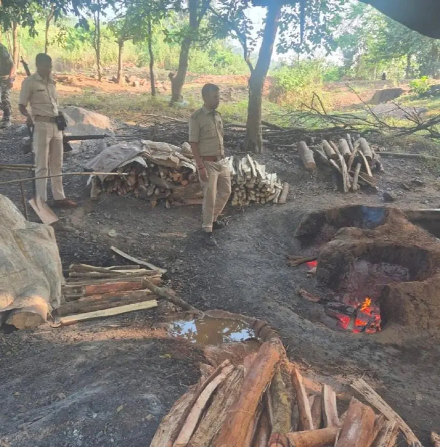 Saraikela Raid: सरायकेला में उत्पाद विभाग ने छापेमारी कर 50 लीटर अवैध शराब बरामद की, 350 किलो जावा महुआ को विनष्ट किया