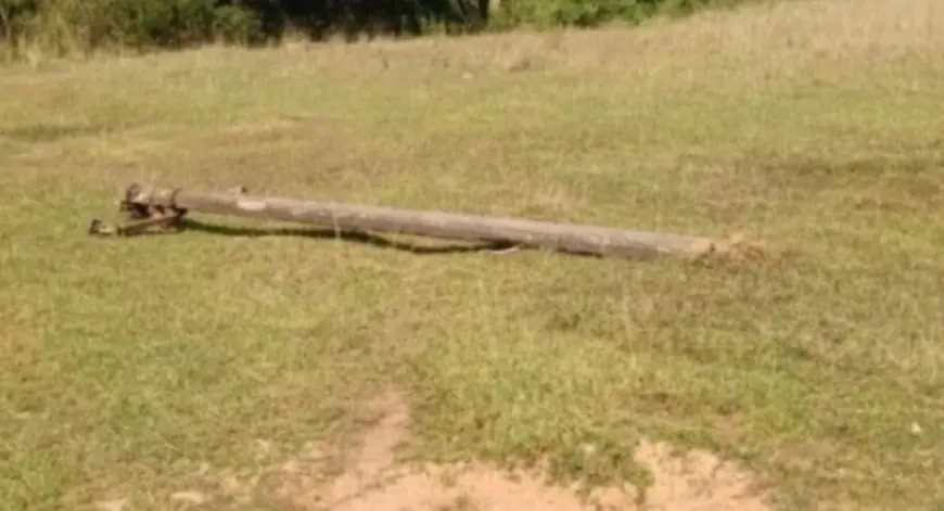 Bahargora Blackout: बहरागोड़ा में चोरों ने 26 बिजली खंभों से 11000 वोल्ट के तार काटे, लाखों की सरकारी संपत्ति का नुकसान