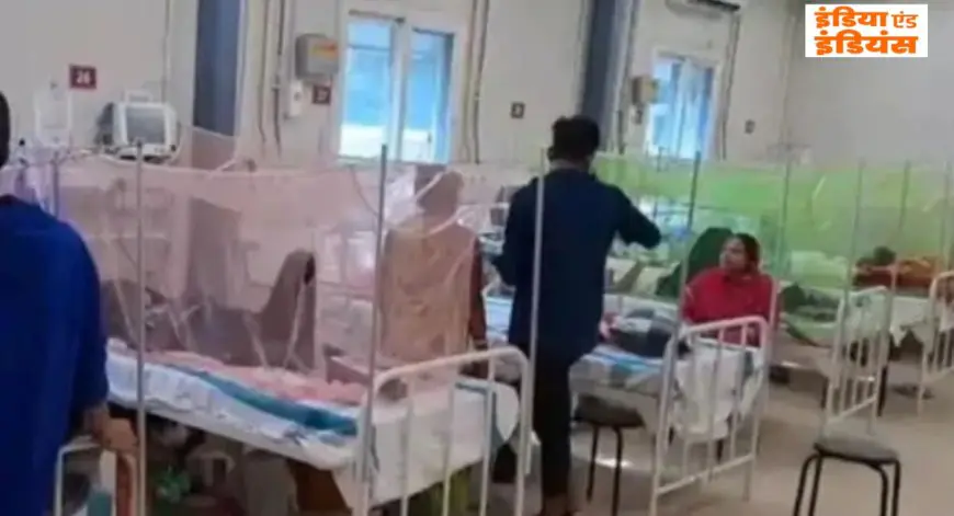 City Dengue: शहर के 2 इलाके बने डेंगू के 'हॉटस्पॉट', 1 हफ्ते में 99 केस सामने आए, आपकी सुरक्षा के लिए 5 बड़े अपडेट