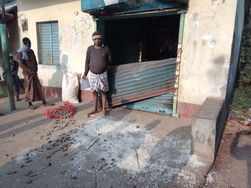 Chakulia Elephant Terror: जंगली हाथी ने मचाया उत्पात, दुकान का शटर तोड़कर 50 हजार का नुकसान, 8 बोरी मुड़ी-आलू को रौंदा, रात 3 बजे से दहशत!