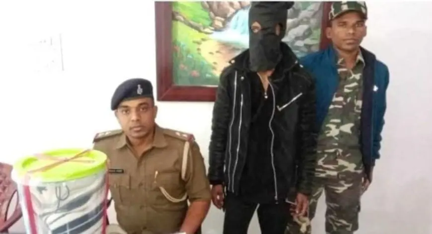 Adityapur Chain Snatching: चेन स्नैचिंग गिरोह का खुलासा, पुलिस ने गिरफ्तार किया कुख्यात चोच, सोने की चेन और बाइक बरामद, दूसरा बदमाश कहां फरार? 