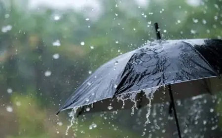 Jharkhand Weather Alert:झारखंड में बारिश के साथ कड़ाके की ठंड शुरू, गुमला में 10 डिग्री तापमान और 4 दिन का पूर्वानुमान