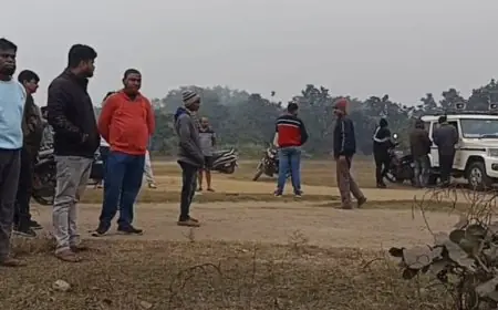 Palamu Accident: शादी के 2 दिन बाद दूल्हे की मौत, तेज रफ्तार हाइवा ने बदली खुशियां मातम में, NH-39 पर खूनी हादसा