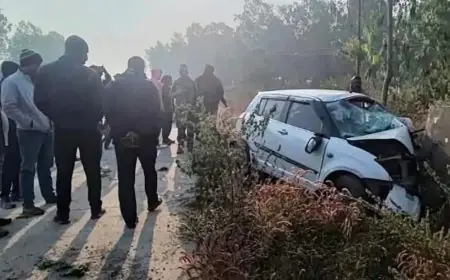 Hazaribagh Accident: अनियंत्रित कार विभाजक से टकराई, महिला व बच्ची समेत 3 की मौत, 6 गंभीर रूप से घायल