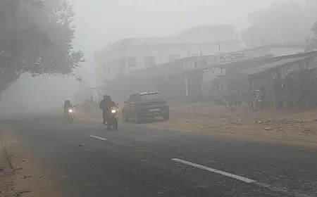 Jharkhand Winter Chill: रांची शीतलहर की चपेट में, 5 जिलों में घने कोहरे की चेतावनी