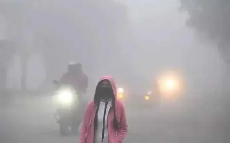 Jharkhand Weather: अगले 48 घंटों में झारखंड में कड़ाके की ठंड, इन जिलों में कोहरा