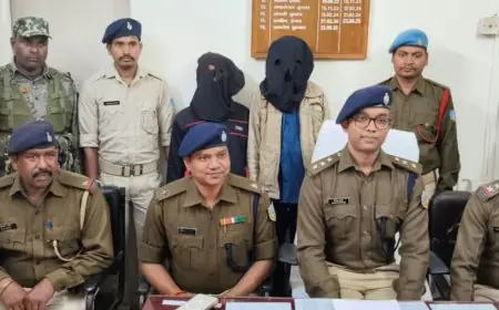 Chakradharpur Arrest: 7 भैंसों के साथ 2 ओडिशा के तस्कर गिराए गए, पशु तस्करी पर पुलिस का बड़ा हमला