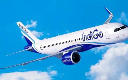 IndiGo Flight: सरकार ने इंडिगो को 10% उड़ानें घटाने का आदेश, यात्रियों पर पड़ेगा असर