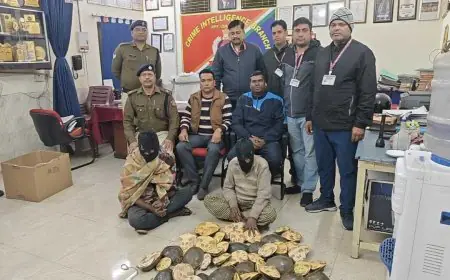Train Smuggling: ऋषिकेश-हावड़ा एक्सप्रेस से पकड़े गए 60 कछुए, लाखों का गिरोह सक्रिय