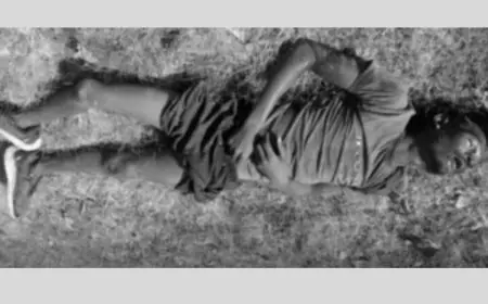 Elephant Terror: मझगांव में जंगली हाथियों ने कुचलकर 24 वर्षीय युवक को मारा, मुआवजे की मांग