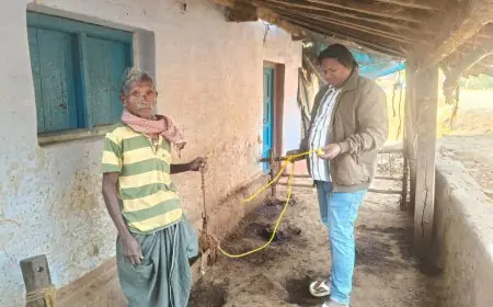 Chakradharpur Crime: गौशाला से ₹50 हजार का बैल चोरी, पुलिस पर बढ़ा दबाव, ग्रामीणों में नाराज़गी