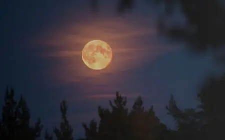 Purnima 2026 Date List : साल 2026 में पड़ेंगे 13 पूर्णिमा व्रत, गंगा स्नान की जानें पूरी तारीख