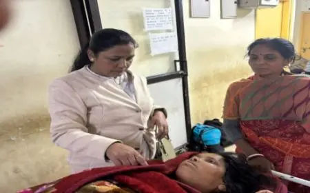 Ranchi Attack: सैर पर निकले दो ग्रामीणों को जंगल से निकले हाथी ने कुचला, इलाज के लिए रिम्स में भर्ती, स्थिति गंभीर