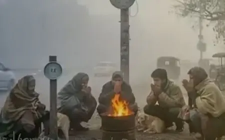 Jharkhand Winter: गुमला ठंडा रहा सबसे ज्यादा, पलामू में घने कोहरे से 300 मीटर तक सिमटी दृश्यता, अगले 5 दिन की चेतावनी