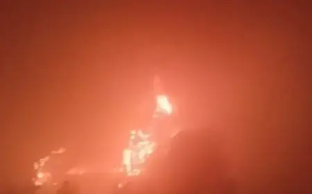 Mathura Tragedy: दिल्ली-आगरा एक्सप्रेसवे पर भयानक हादसा, कोहरे के कारण 7 बसें और 3 कारें टकराईं, 4 यात्रियों की मौत के बाद मुख्यमंत्री ने किया बड़ा ऐलान